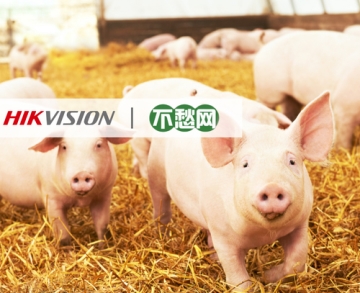 客戶案例丨AI助力智慧豬場(chǎng)，讓養(yǎng)殖者不再愁